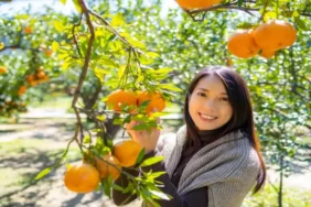 हरियाणा में किसानों की बल्ले-बल्ले