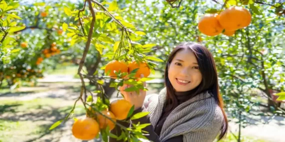 हरियाणा में किसानों की बल्ले-बल्ले, अब 40000 की जगह 50000 मिलेगा प्रति एकड़ मुआवजा