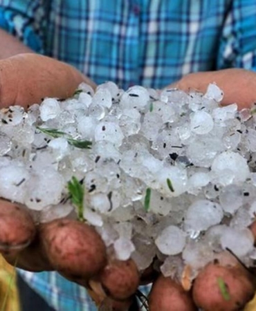haryana weather