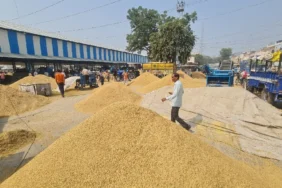 हरियाणा