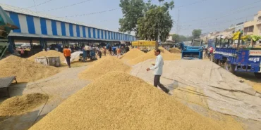 हरियाणा