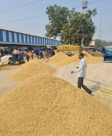 हरियाणा