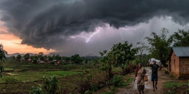 हरियाणा